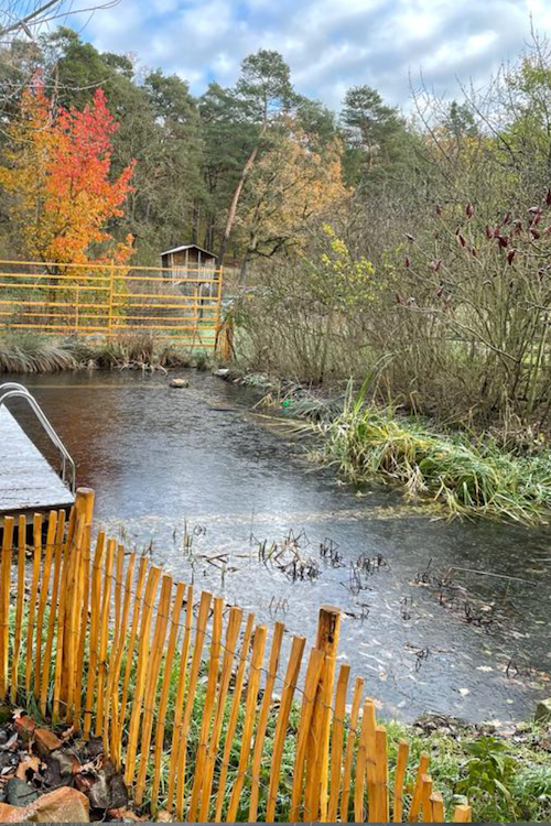 kleiner, zugefrorener See. Im Hintergrund leuchtet Herbstlaub.