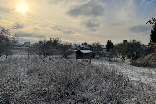 eine Wiese unter einer leichten Schneeschicht. Im Hintergrund sieht man eine kleine Hütte.